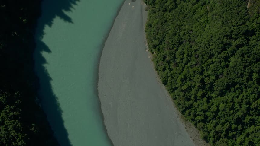 A green tinged river in a forest