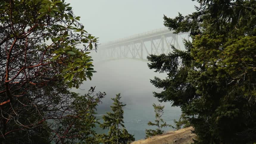 Fog hangs over a bridge in a natural setting during the day