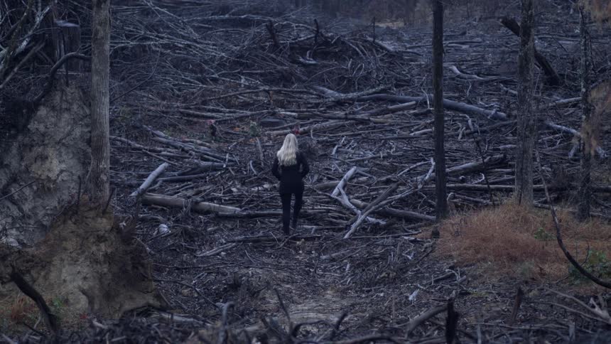 A woman is walking among a fall of dead trees in a forest during the day