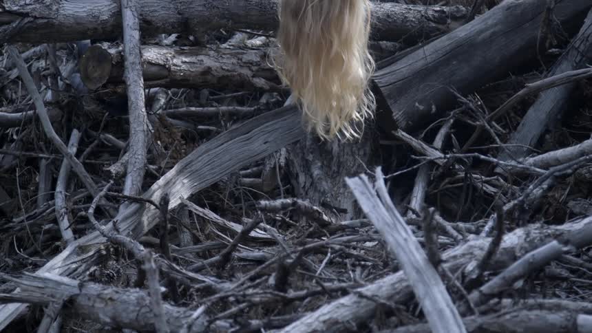 A woman's hair hanging above a pile of dead wood begins to rise away
