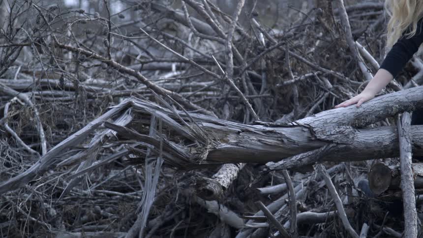 Woman rubs a fallen tree