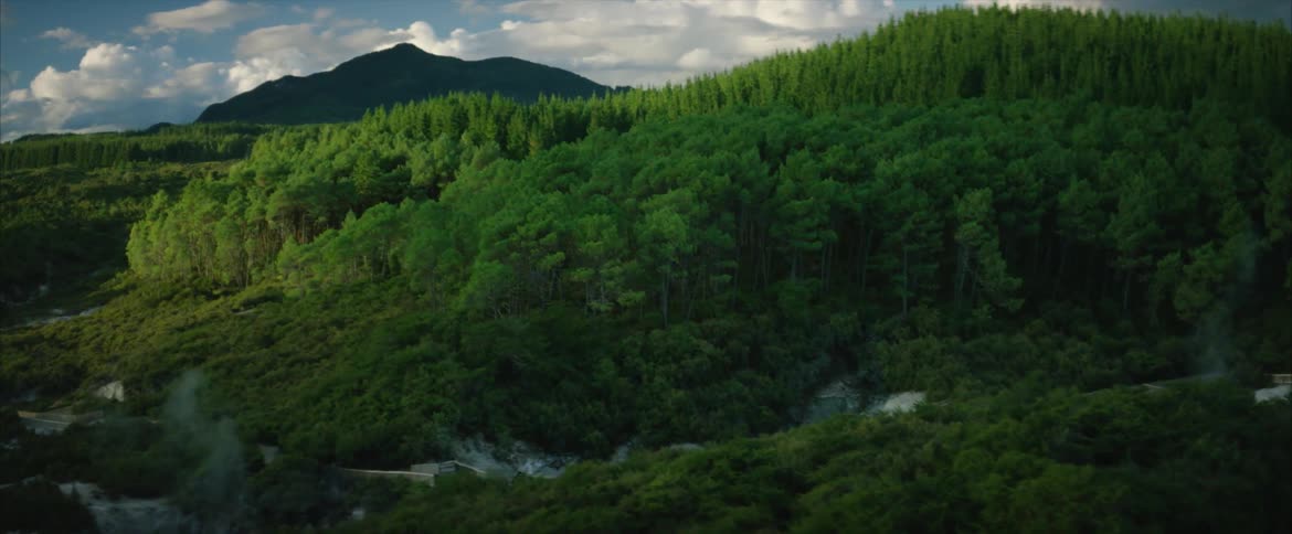 Trees cover a mountainside in the wilderness