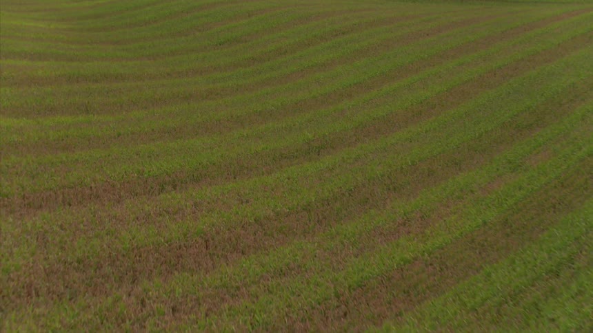 Lush green farmland is filmed from a drone