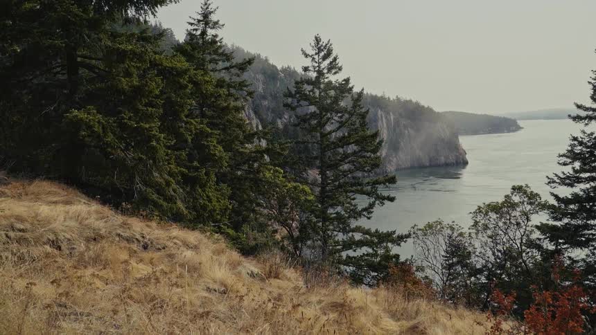 The hillside by the water is covered with trees