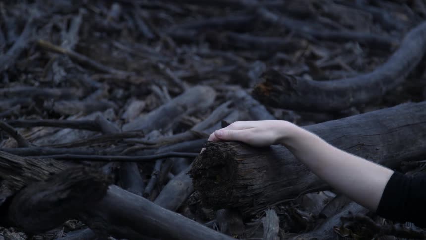 A woman's arm rests on a log