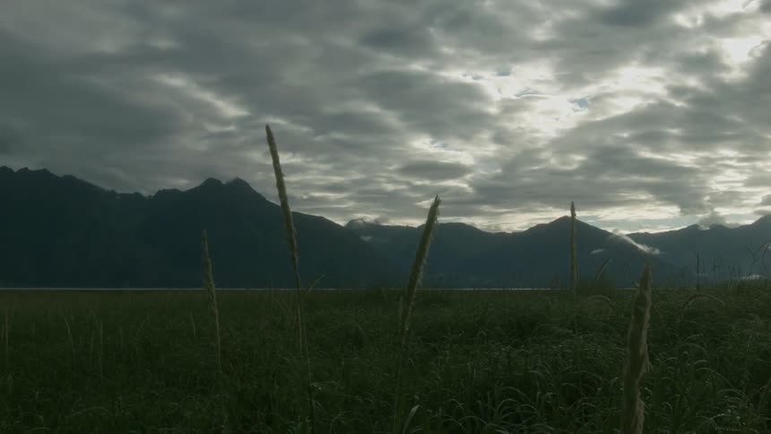 The wind is blowing the grass on the long field at sunset