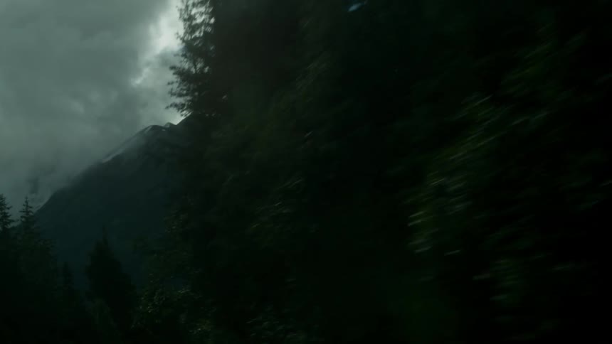 Tall trees line the side of this tall mountain