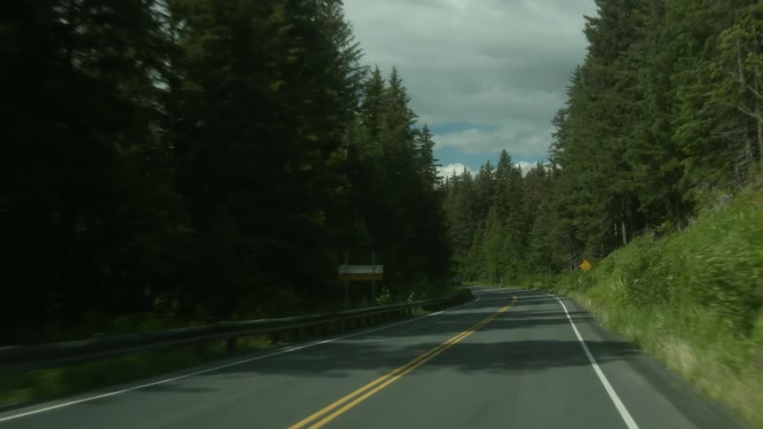 A car is driving on a road lined with pine trees and mountains