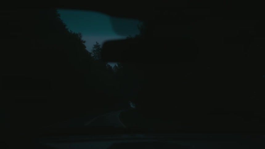 Vehicle travels down the road between rows of trees