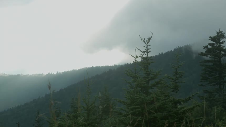 The fog and clouds roll over the hillside