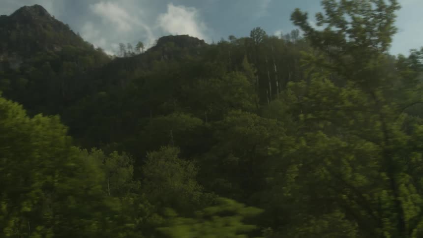 The mountain is lined with tall green trees