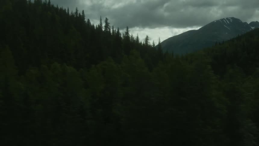 Traveling along a highway with a dense forest next to it