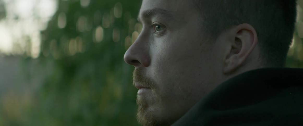 Man looks outside near trees at sunset