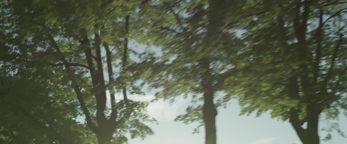 The tall trees block some of the shining sun