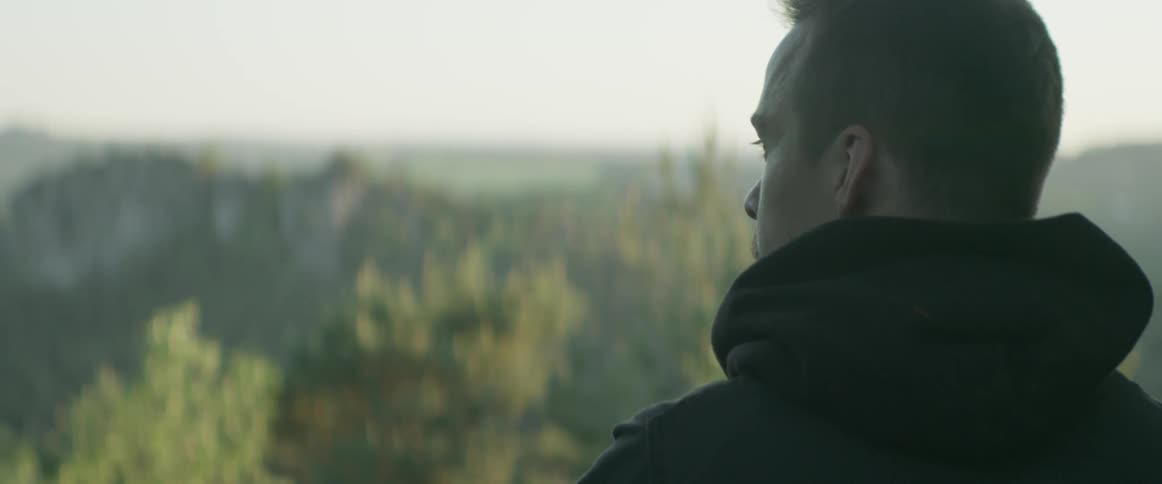 A man looks out over the tops of the trees