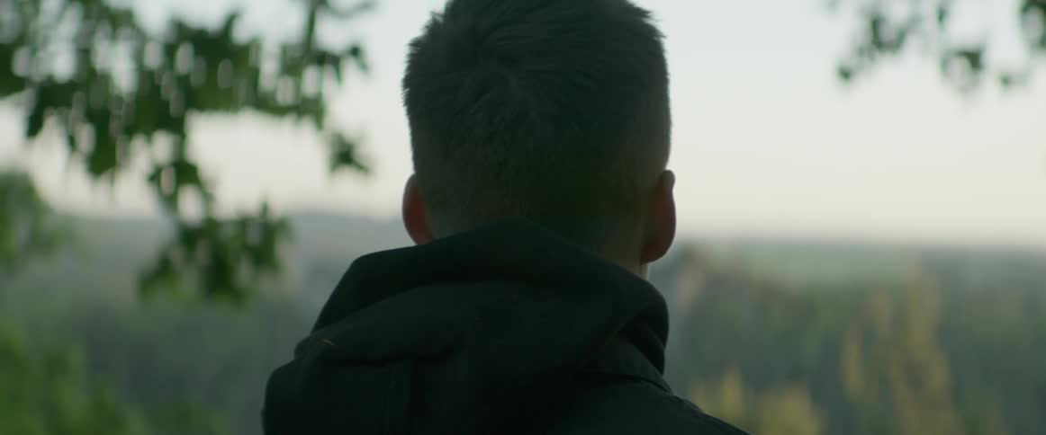 Man looks out at tree tops down below