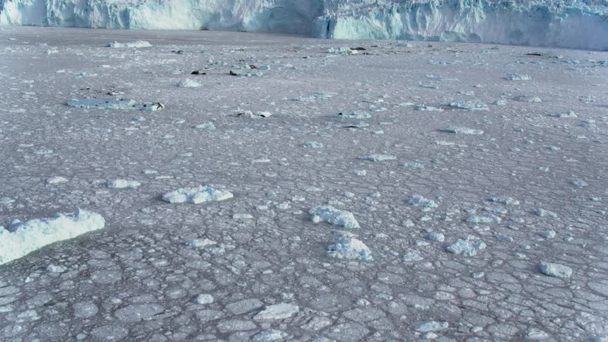 The water is filled with ice with an ice wall ahead