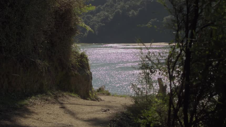 A path leads to a large river