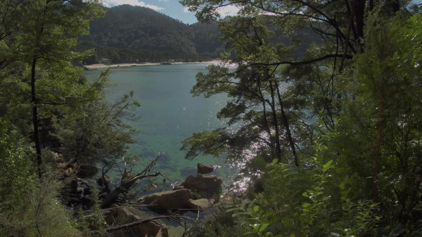 Sunlight shining off of a lake through the trees