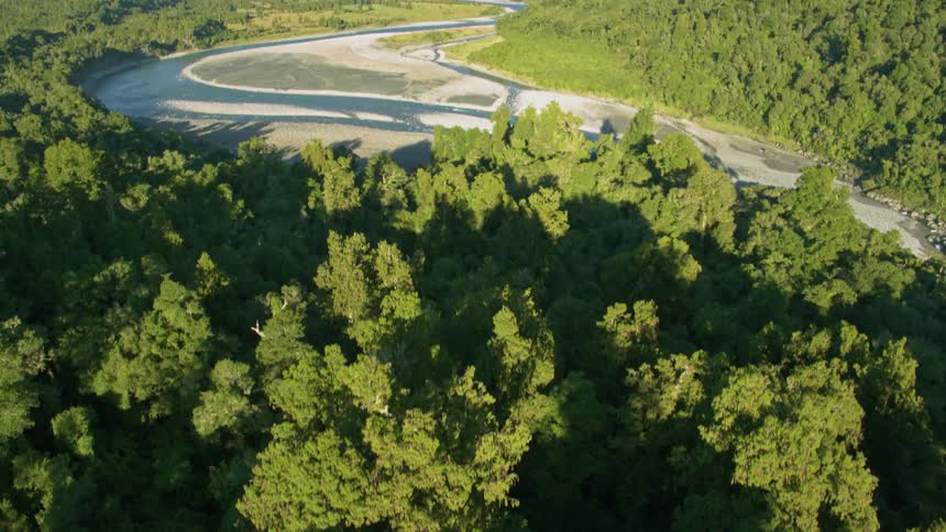River runs through forested area in mountains