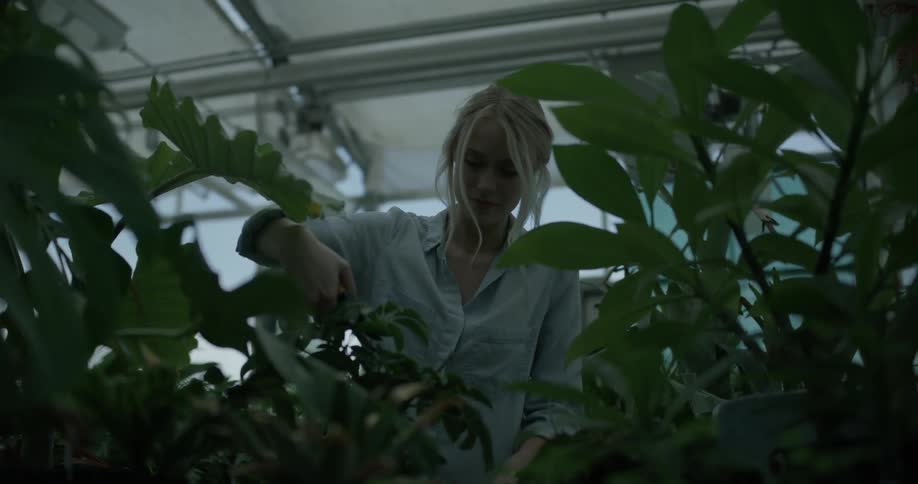A woman is tending plants in a greenhouse during the day