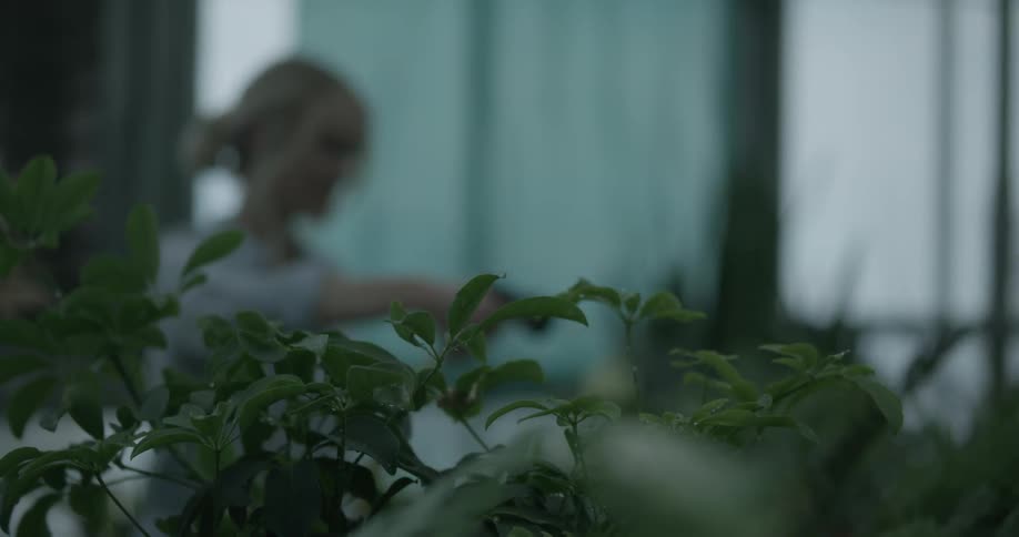 Woman waters plants in a greenhouse