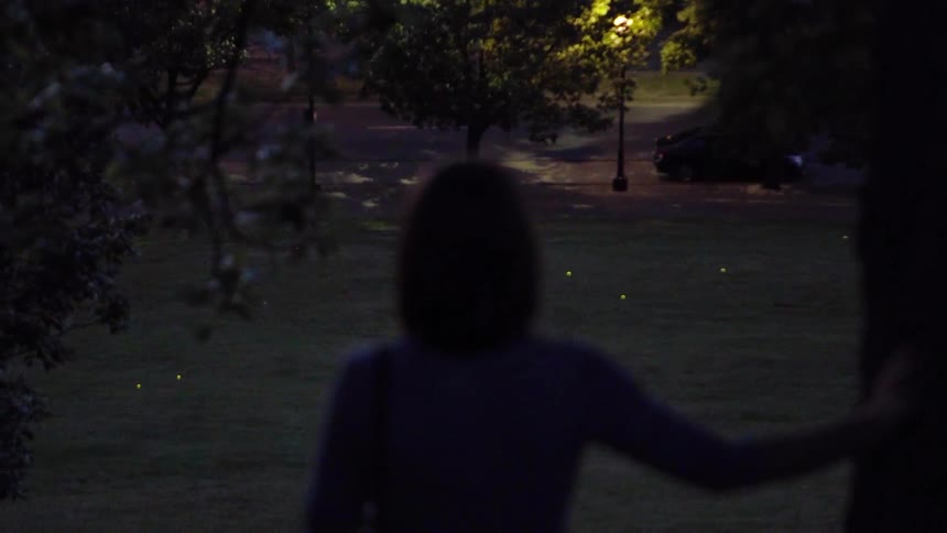 A woman is leaning against a tree overlooking a green meadow full of fireflies