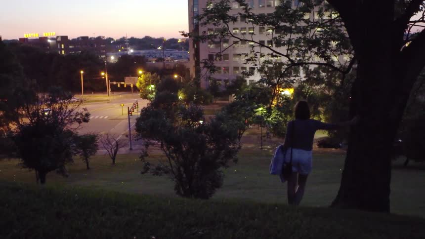A woman is leaning against a tree and gazing across a park filled with fireflies at dusk