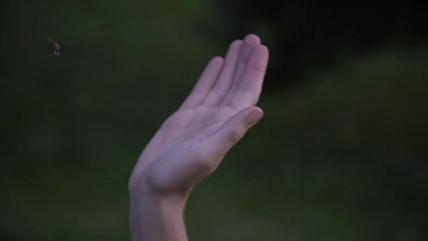 A person puts their hand out for a firefly to land on it