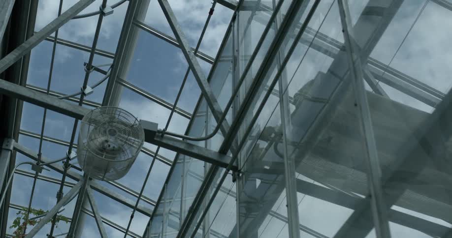 A fan rotates in a greenhouse