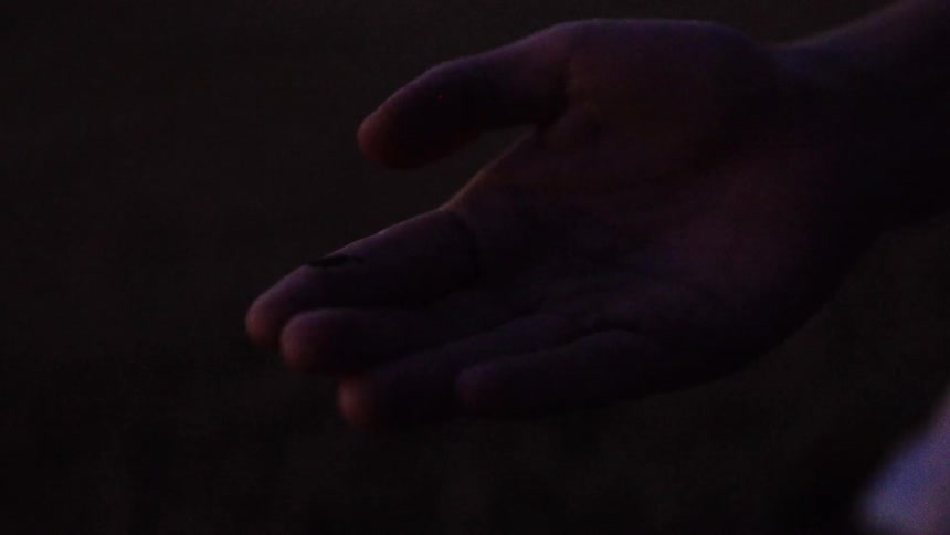 A woman catches a firefly on her finger