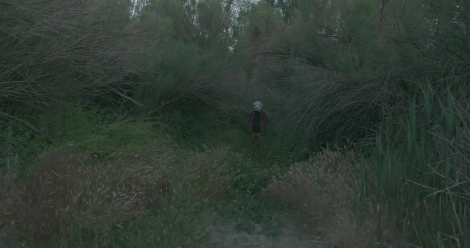 Man runs through tall grass and sees people wearing animal masks
