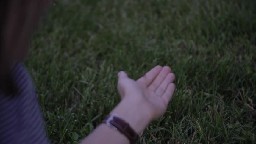 A woman has a firebug on her hand