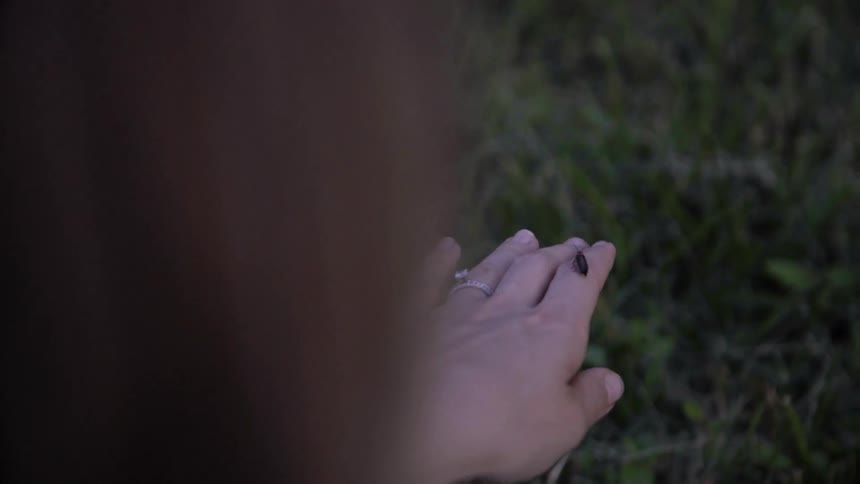 Firefly rests on a woman's hand