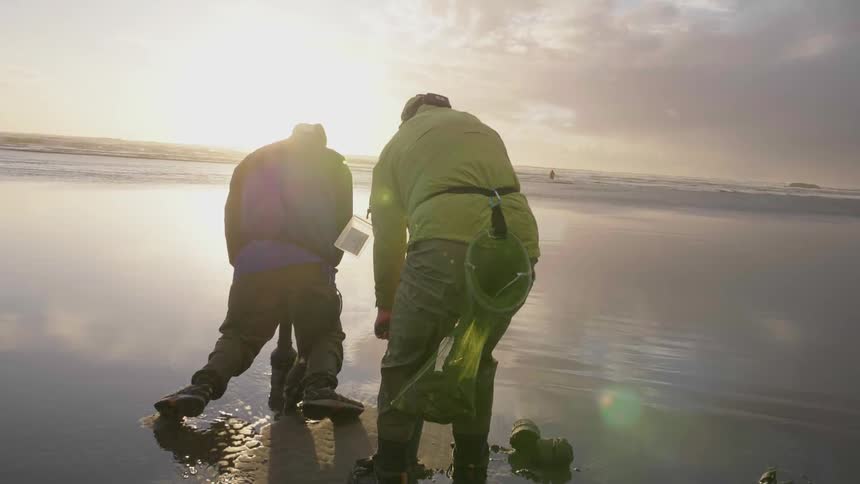 Two people are working near the shore digging in the sand