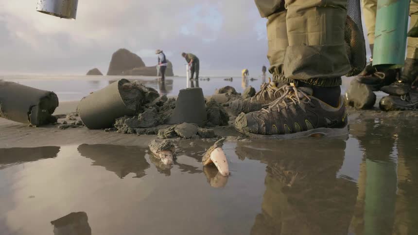People are digging in the wet sand on a cloudy day