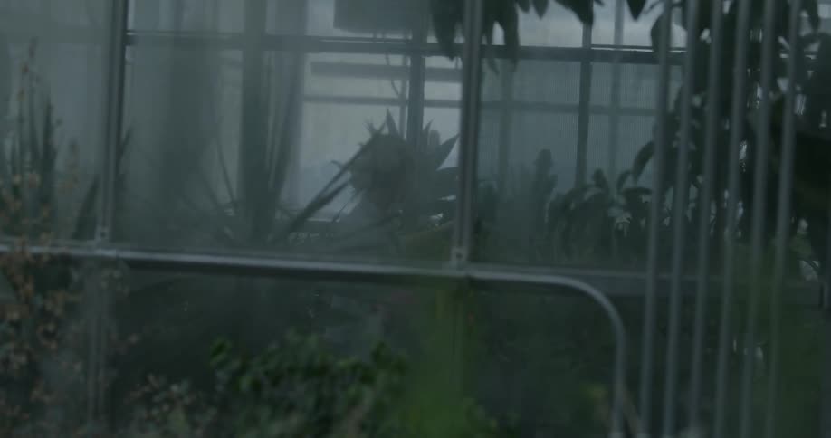 Woman waters plants in a green house