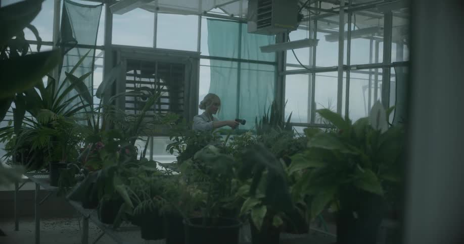 A woman waters plants in a greenhouse
