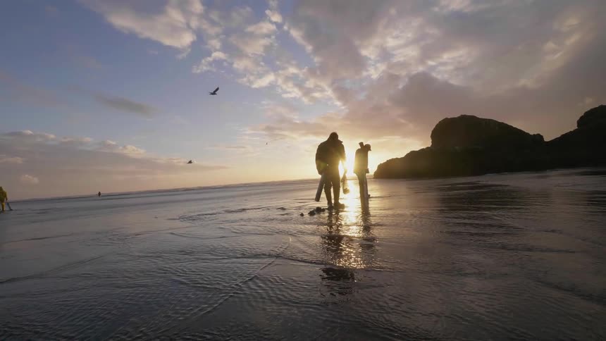 People are digging in the sand by the water as birds fly past
