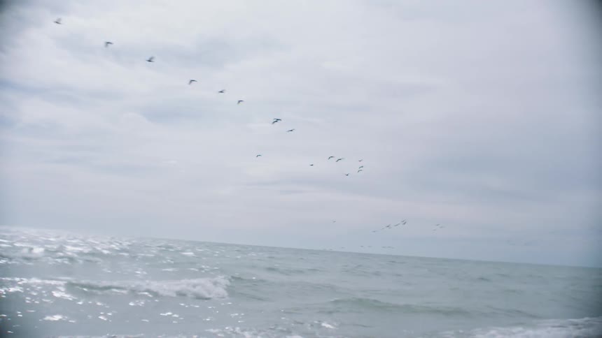A flock of birds fly over the ocean under cloudy skies
