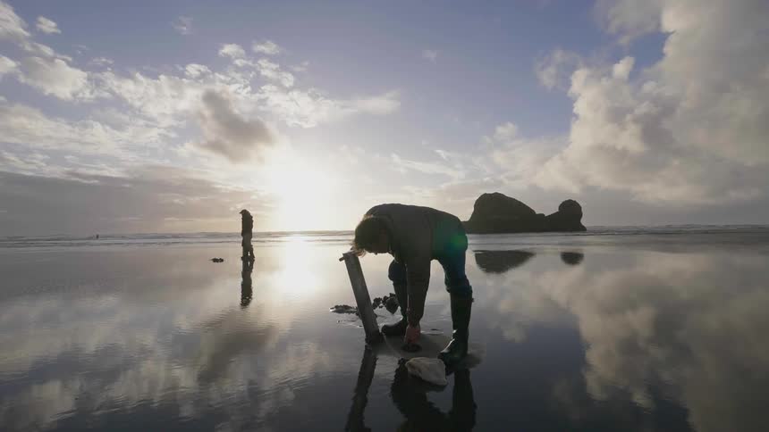 A man is digging in the wet sand as a bird flies overhead