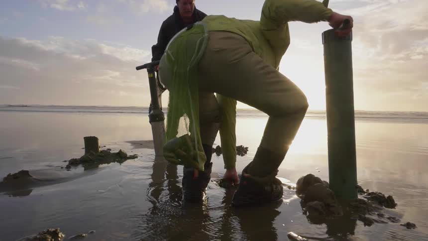 A group of man are gathering up clams