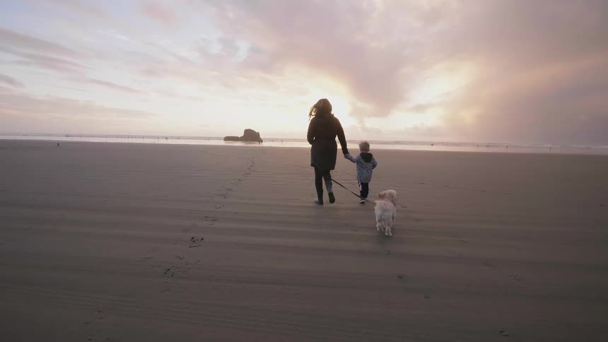 Woman and child walk dog on sandy beach at sunset
