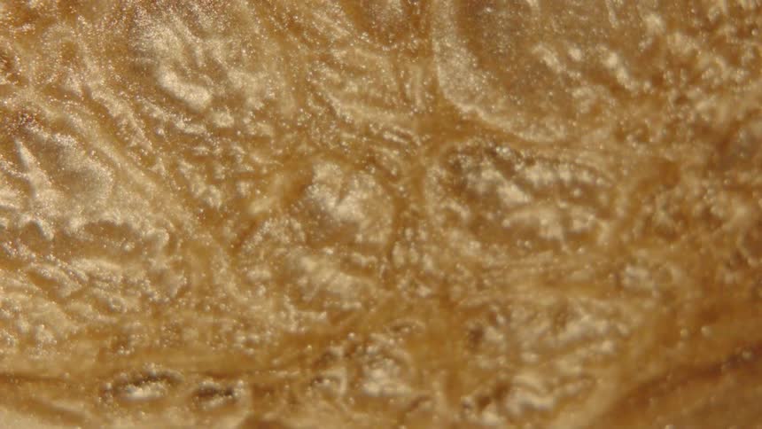 Bubbling liquid comes to a boil