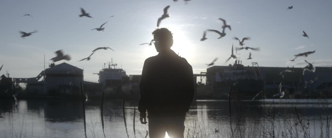 A man stands by the water as birds fly all around him