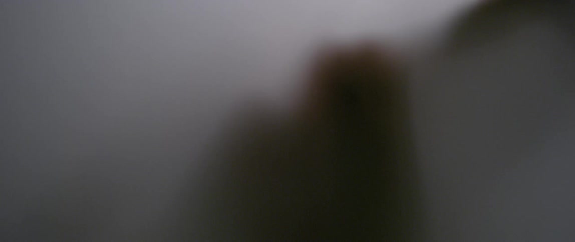 Person stands behind a white screen