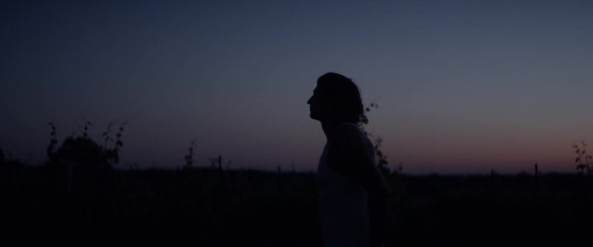 A person is walking around in a circle at dawn