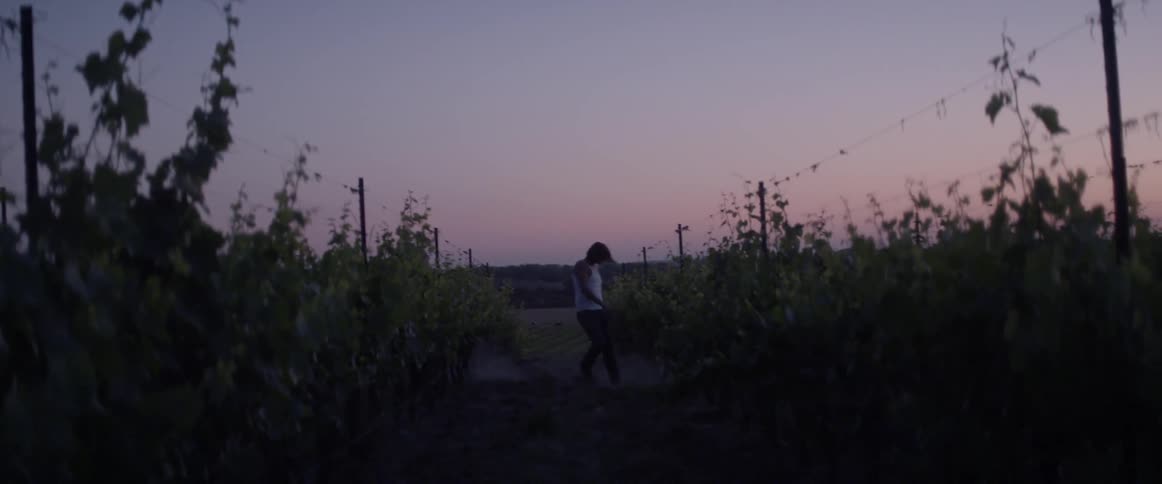A man is pacing and kicking at the dirt in a vineyard at dusk