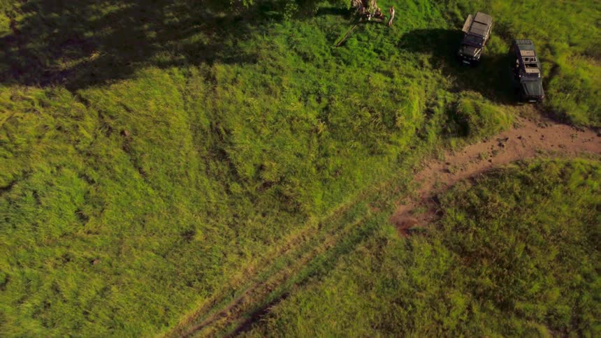 A grass covered filmed from the air