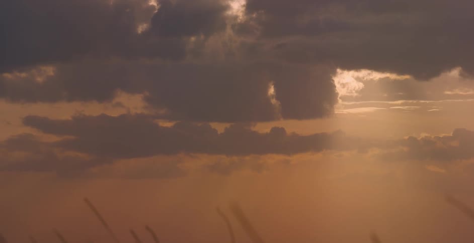 The wind is blowing the grass as the sun sets